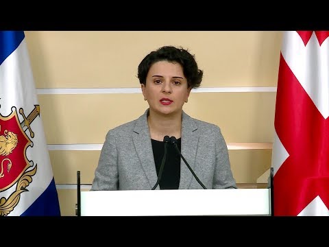 შინაგან საქმეთა მინისტრის მოადგილის - ნათია მეზვრიშვილის ბრიფინგი